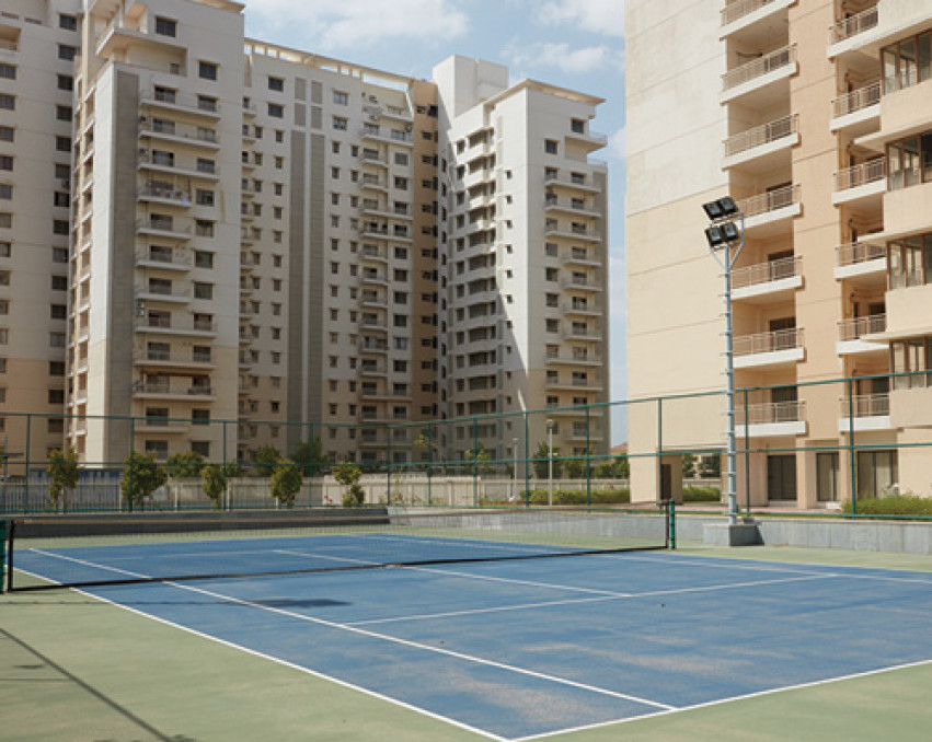 Adani Shantigram Water Lily