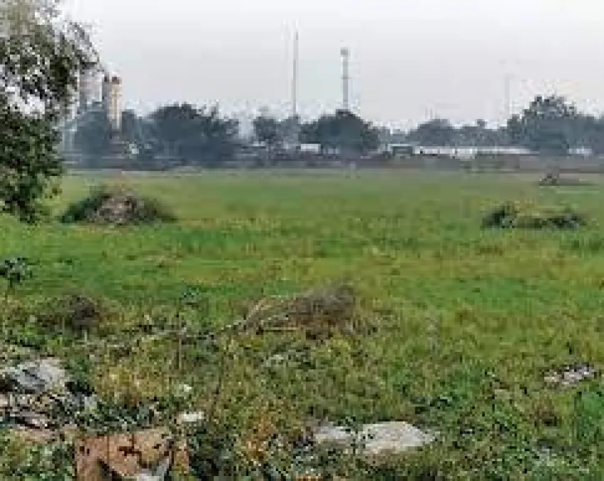 DDA Plots