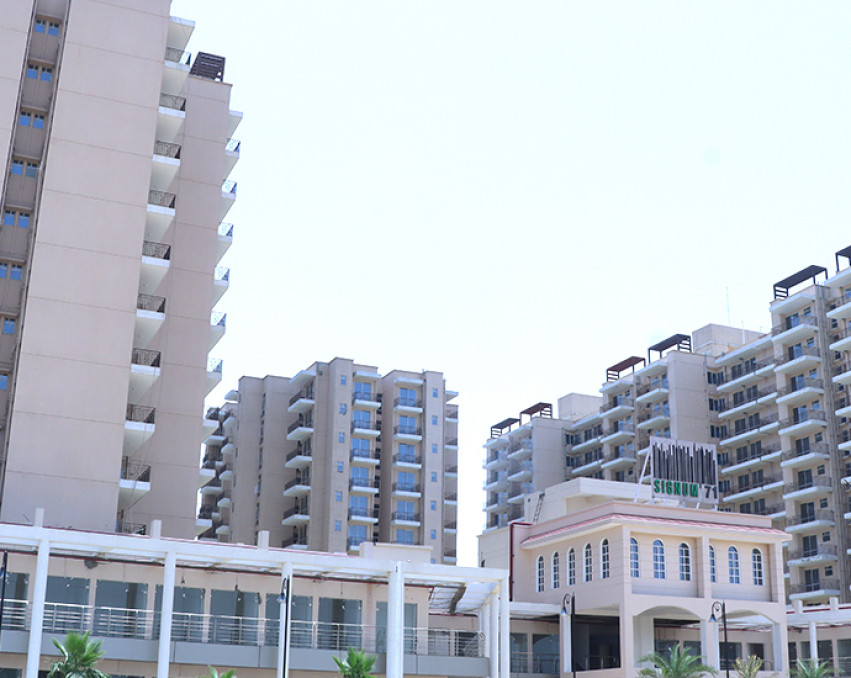 Signature Global Signum 71