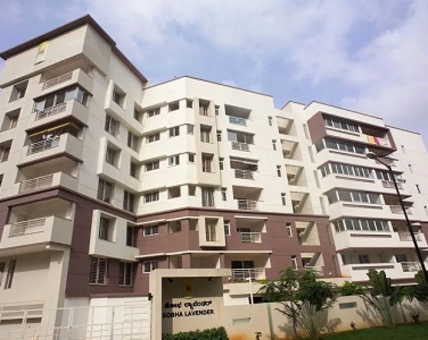 Sobha Lavender