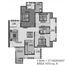 apexspour1_5.jpg