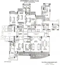 dlf1.webp