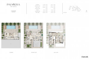 palmiera_at_the_fp_4.jpg
