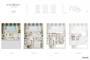 palmiera_at_the_fp_5.jpg
