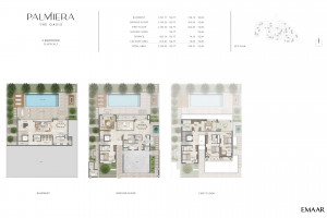 palmiera_at_the_fp_6.jpg