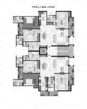 pi7_anukampa_fp5.jpg