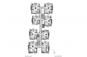 pi7_aparna_kanopy_marigold_fp03.png