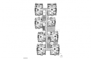 pi7_aparna_kanopy_marigold_fp09.png