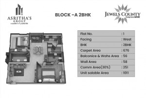 pi7_asrithas_jewels_countyasrithas_jewels_county_fp01.jpg