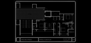 pi7_goyal_orchid_pride_fp2.png