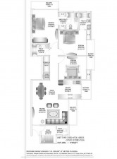 pi7_jm_orchids_fp_4.jpg