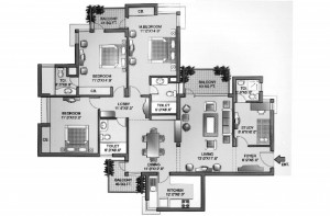 pi7_orchid1.jpg