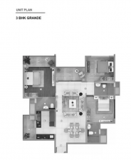 shapoorji_joy3.png